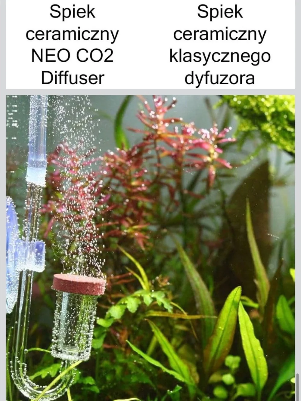 Aquarium Neo CO2 Diffuser Customized Ceramic for Planted Tank New In Box Large